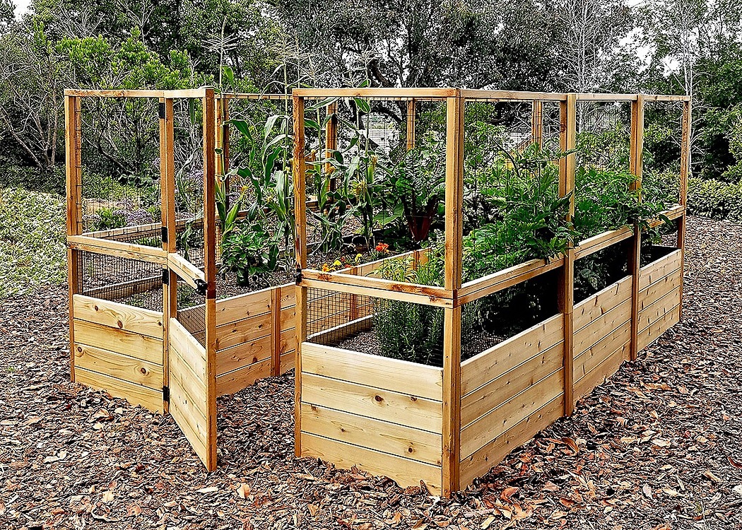 Raised Bed Gardening